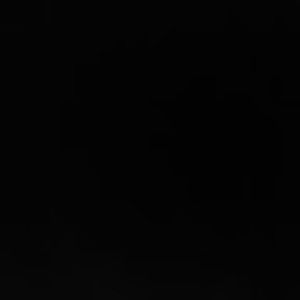 Meet your Posher, Dwight